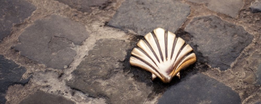 Camino_de_Santiago