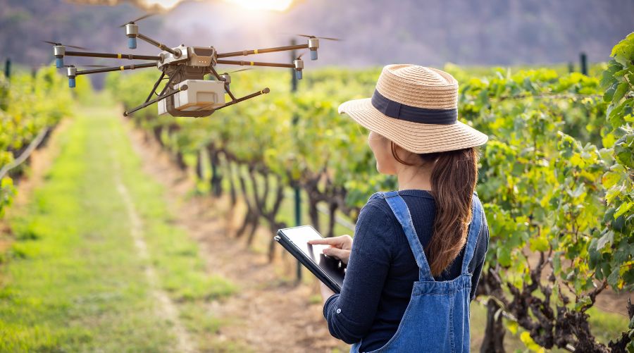 Innovación tecnológica aplicada al control de calidad de un vino
