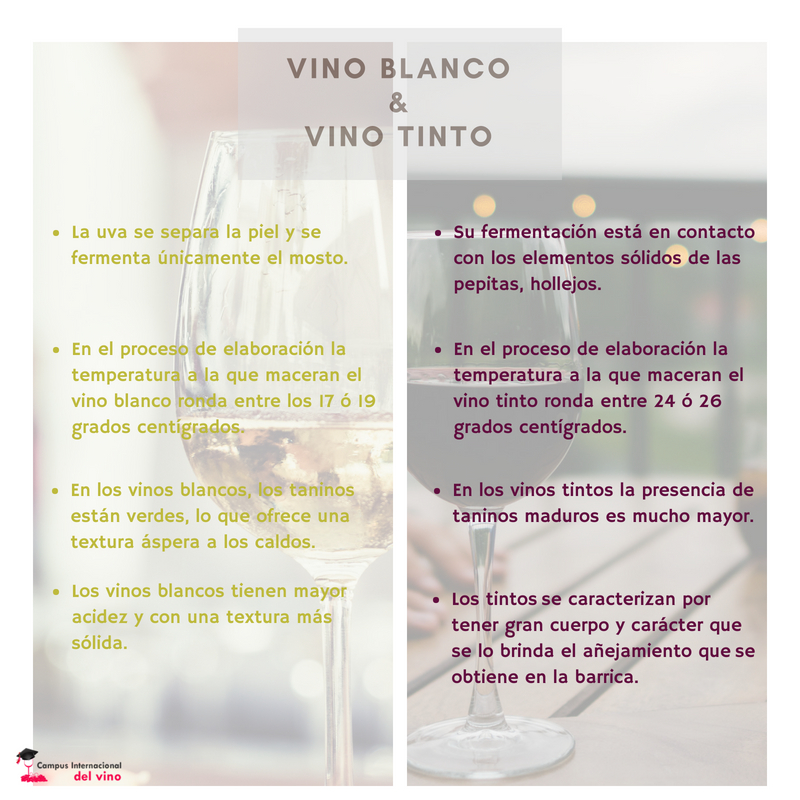 Vino tinto vino blanco