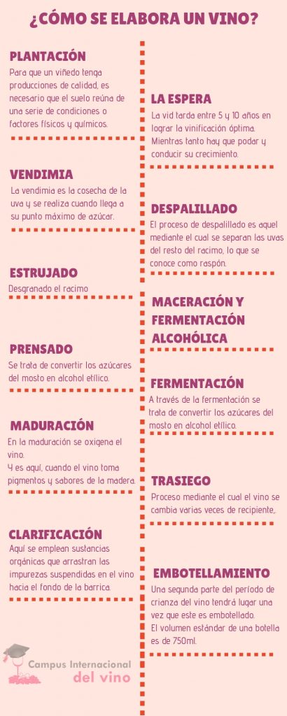 elaboración de un vino